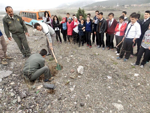 Kargı Metem Öğrencileri Fidan Dikti