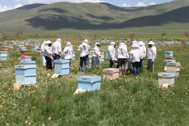 Arı Ölümleri İle İlgili Konferans