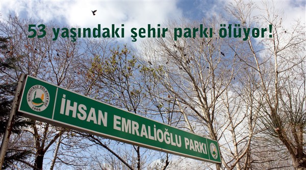 53 Yaşındaki Şehir Parkı Ölüyor!