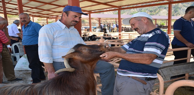 Kurbanlıklar Yeni Sahiplerini Buldu