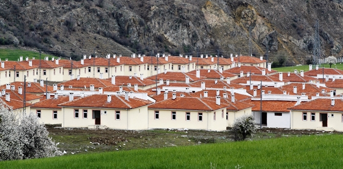 Bayat Tevekli Köyü Afet Konutları Tamamlandı