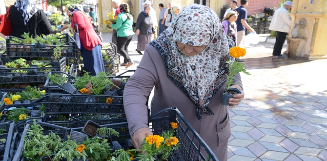 Belediye, Bayram Öncesi 49 Bin Çiçek Dağıtacak