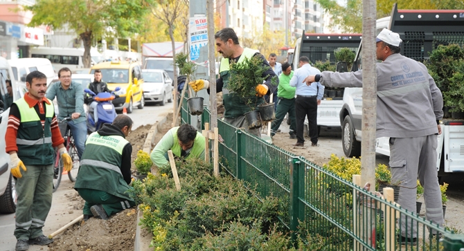 Bahabey ve Kerebi Gazi’de Refüjler Yeşilleniyor