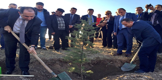 Hitit Üniversitesi Hatıra Ormanı Oluşturuldu