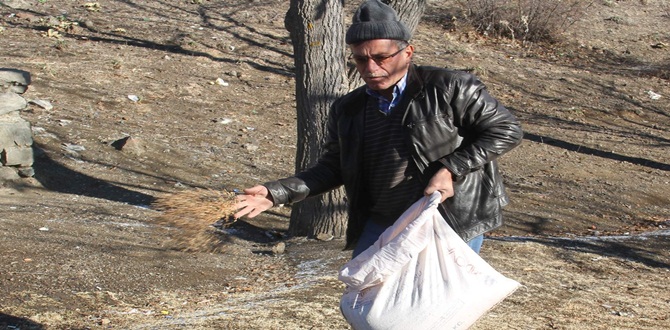 Kuşlar İçin Yem Bırakıldı