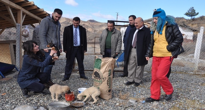 Sokak Köpeklerine Sahip Çıkıyorlar