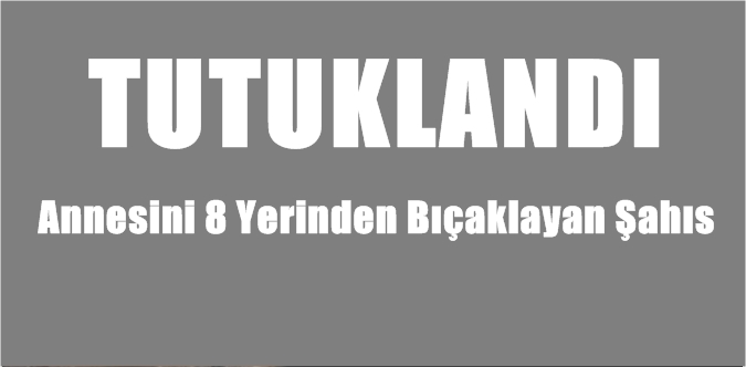 Annesini 8 Yerinden Bıçaklayan Şahıs Tutuklandı