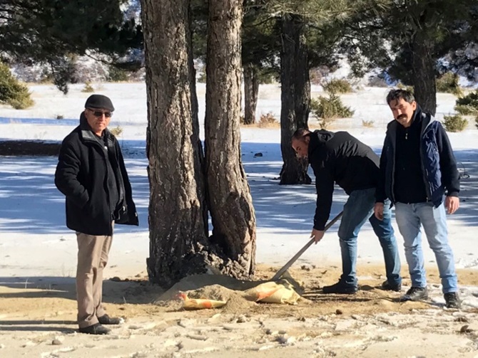 Doğaya Yem Bıraktılar