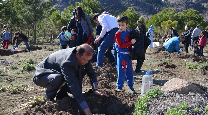 Minikler Fidan Dikti