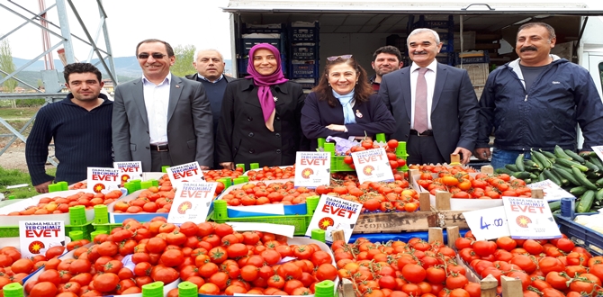 Osmancık İlçesi’nde Karış Karış “Evet”i Anlattı