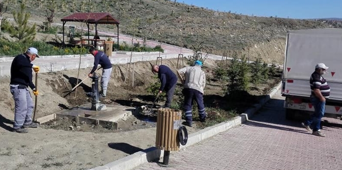 Güzel Bir Sungurlu İçin Çalışıyorlar