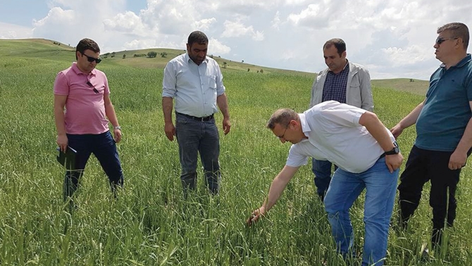 Sungurlu’da Tarım Arazilerini Dolu Vurdu