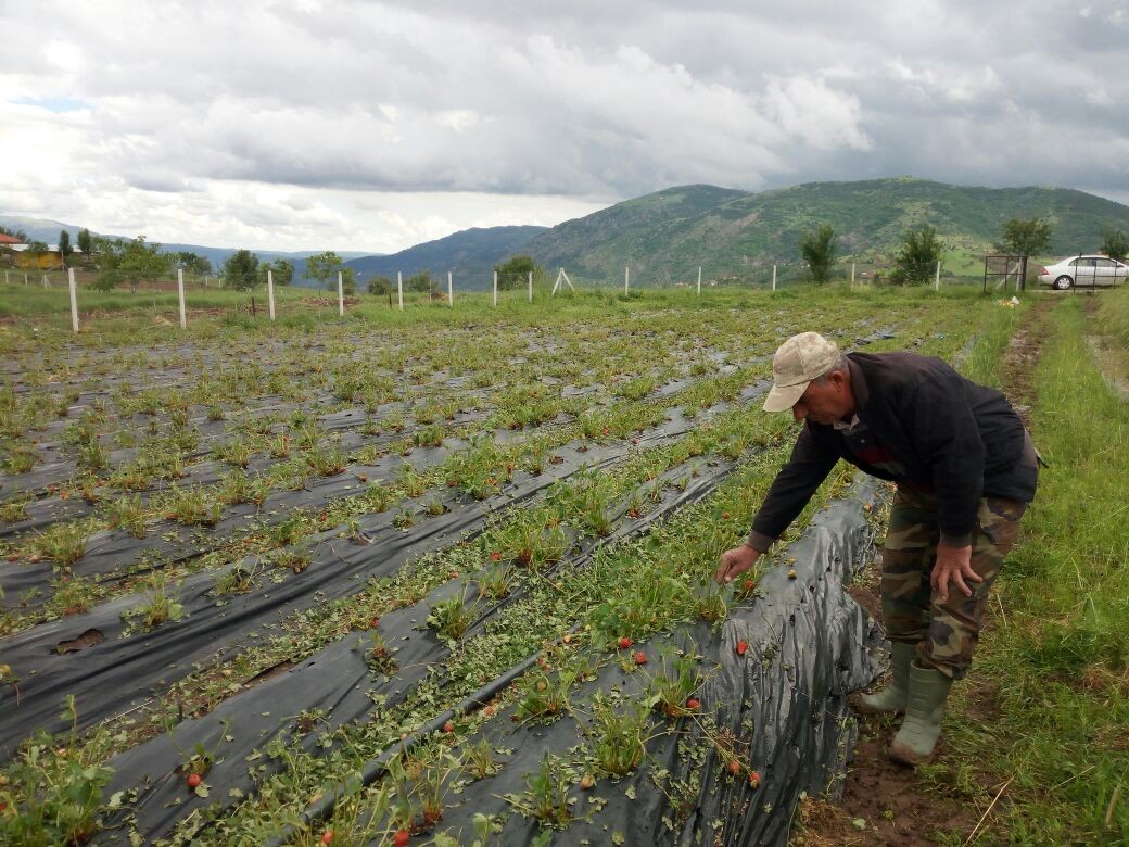 Aşırı Yağışlar İlçelerde Hayatı Felç Etti