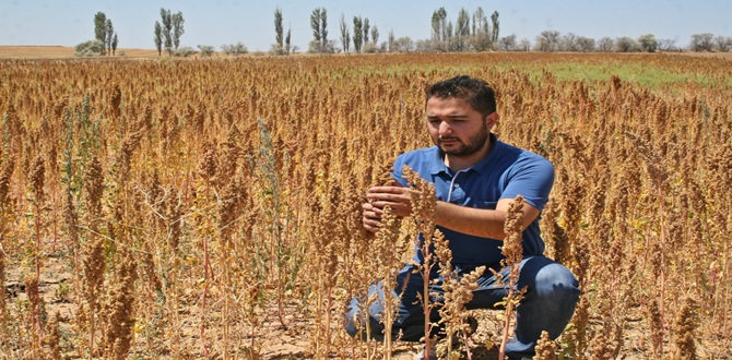 ÇKS Başvuru Süresi Uzatıldı