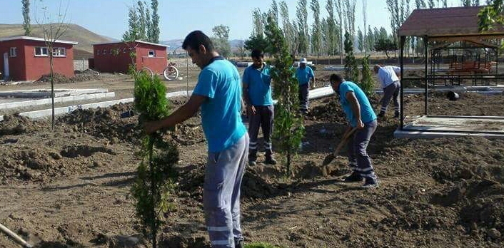 Mesire Yerleri Ağaçlandırıldı