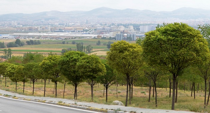 Çorum Yeşil Kent Olma Yolunda İlerliyor