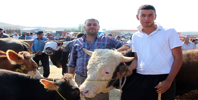 Kurbanlık Hayvanlar Görücüye Çıktı