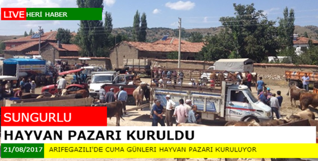 Arifegazili Köyünde Hayvan Pazarı Kuruldu