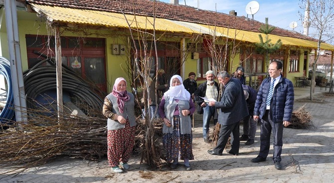 Laçin Üreticilere Ceviz Fidanı Dağıtıldı