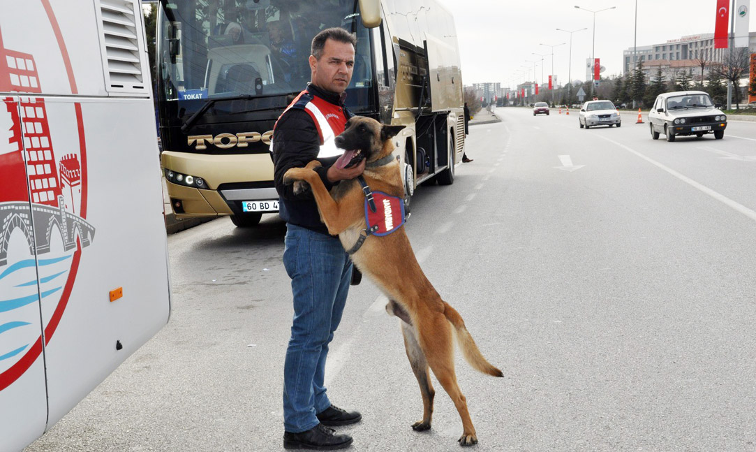 Kaplan ve Kıyı İşbaşında