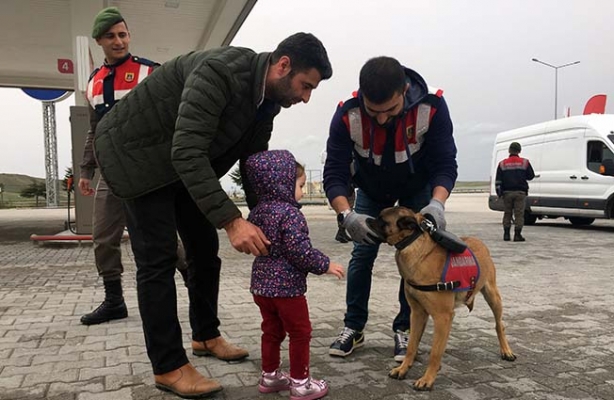 Kıyı Yine İşbaşında