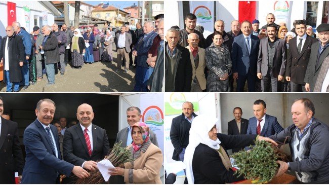 Ortaköy’de, Asma Fidanı Dağıtıldı