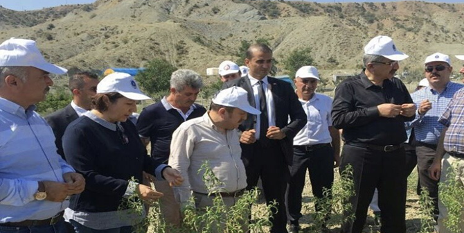 Ceritoğlu, “Üretim Merkezi İhale Ediliyor”