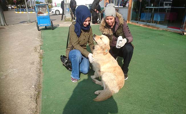 İnsanlığın Ölmediğini Gösterdiler