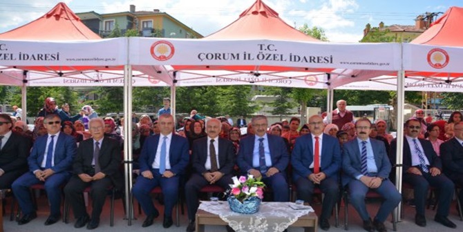 Okumayı Öğrendiler