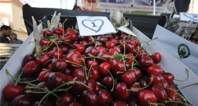 Kardeş Belediyede Festival Coşkusu