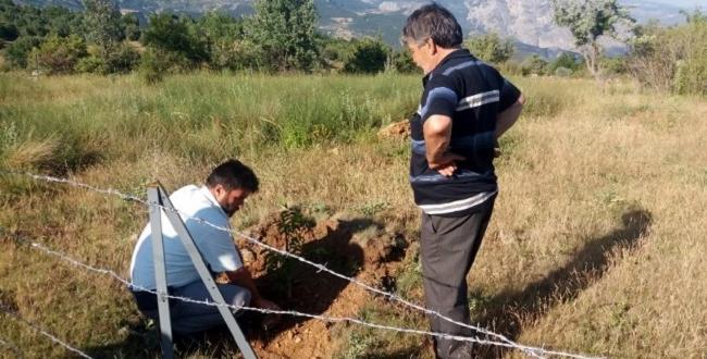 Gelir Getirici Ağaçlandırma Yapıldı