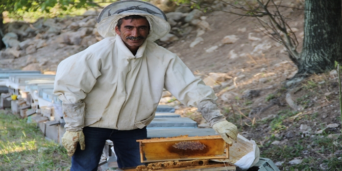 İsviçre’ye Bal Gönderiyor