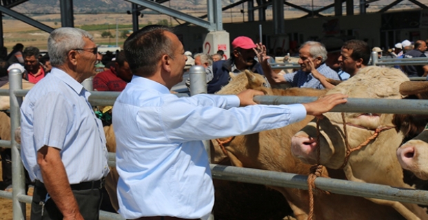 Hayvan Pazarını Denetlediler