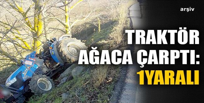 Traktör Ağaca Çarptı. 1 Yaralı