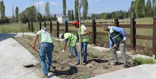 Binicilik Tesisinde Peyzaj Çalışması