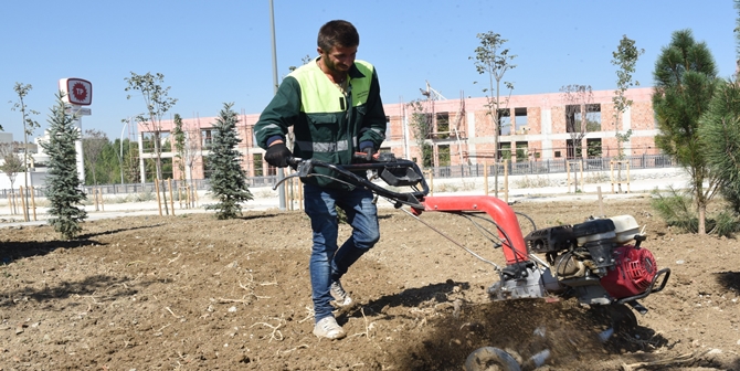 Erzurum Dede Şimdi Daha Güzel