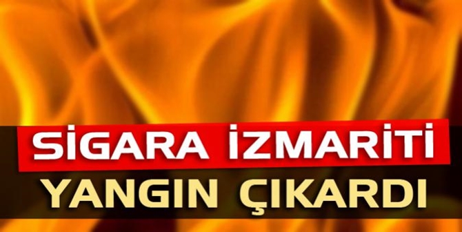 Sigara İzmariti Yangın Çıkardı