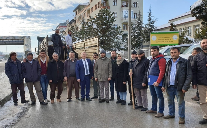 Çiftçilere Hibe Hayvan Dağıtıldı