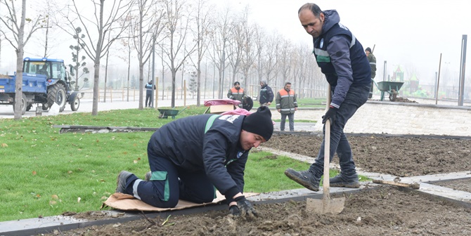 Kentpark’ta Gül Bahçesi Oluşturuldu