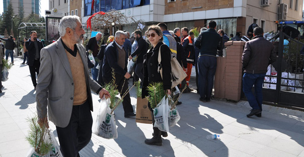 Vatandaşa Fidan Dağıtıldı