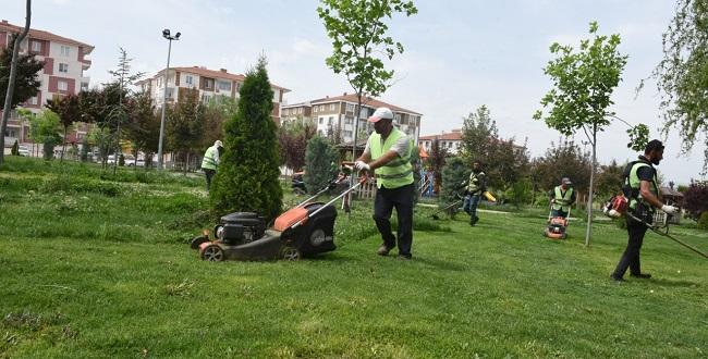 Park ve Bahçelerde Hummalı Çalışmalar Başladı