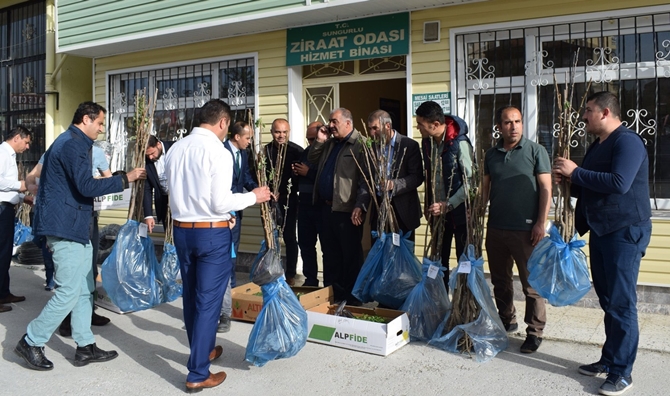 Tohum ve Fidan Dağıtımı Yapıldı