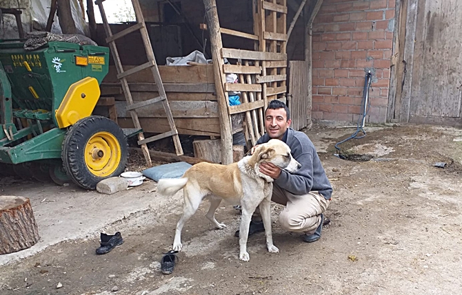 Canını Kurtardığı Köpeği Sahiplendi