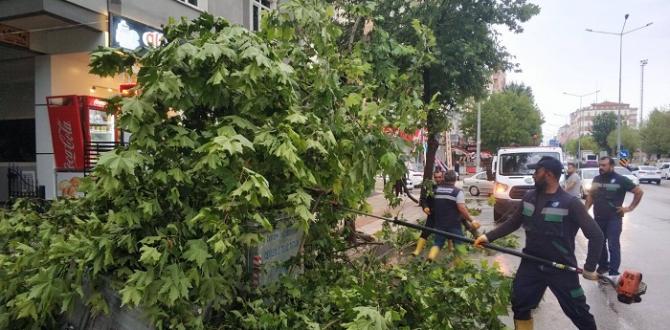 Belediye Tam Kadro Çalıştı