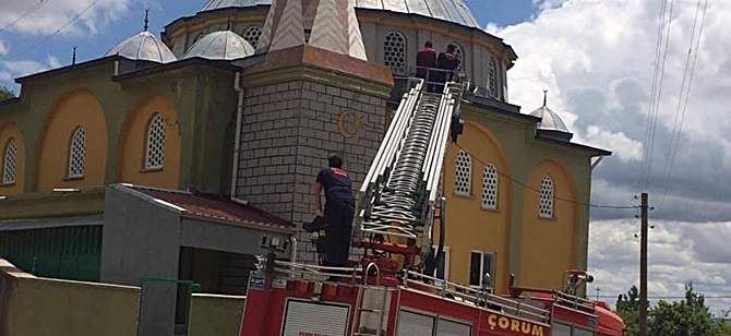 Yavru Leylek İçin Operasyon Yapıldı