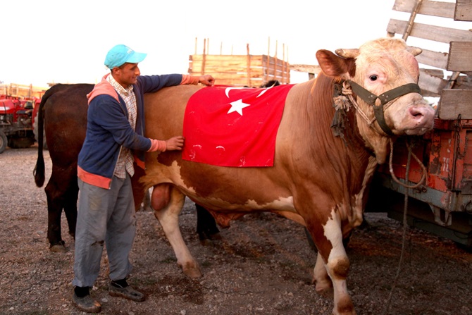 Alıcısını Buldu