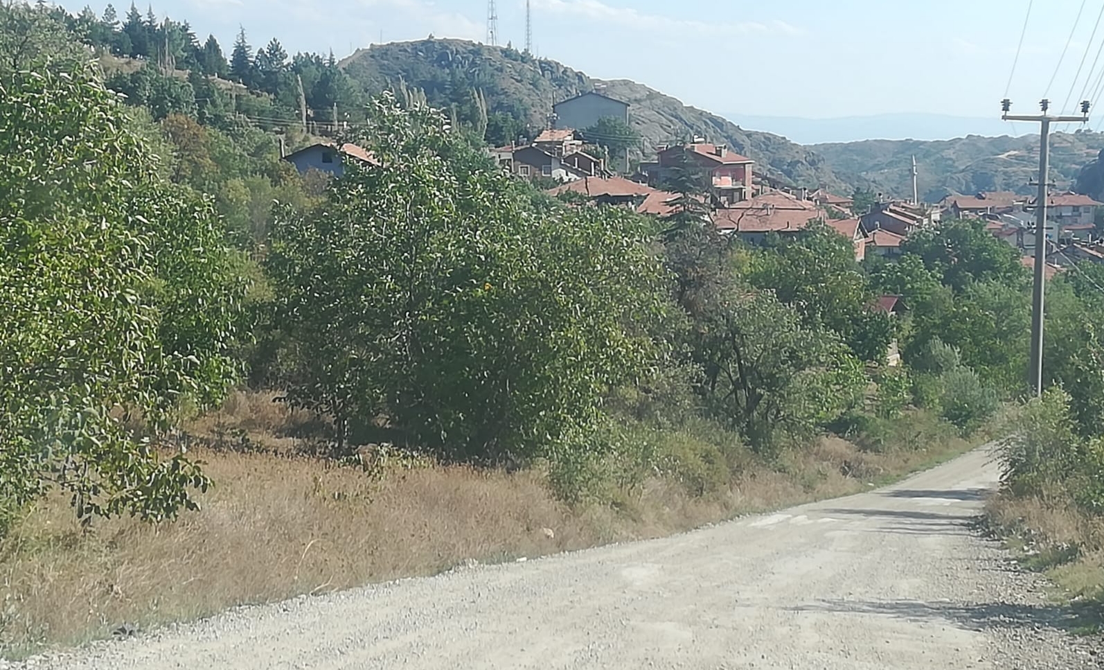 Köylülerin Yol İsyanı