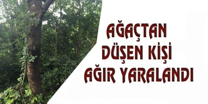 Elma Ağacından Düşen Kadın Ağır Yaralandı