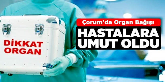 Organ Bağışı 3 Hastaya Umut Oldu