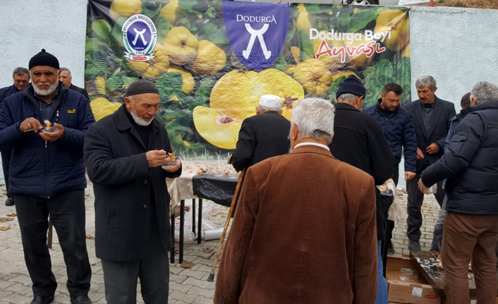 Ayva Tanıtım Günleri Devam Ediyor